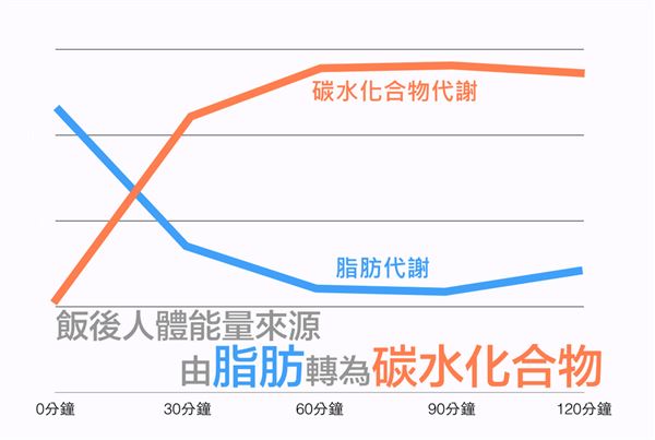 空腹運動的理論基礎