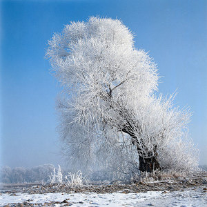 下雪天出門要注意什么