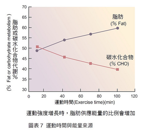 運(yùn)動(dòng)前喝咖啡好嗎 如何游泳可以減肥