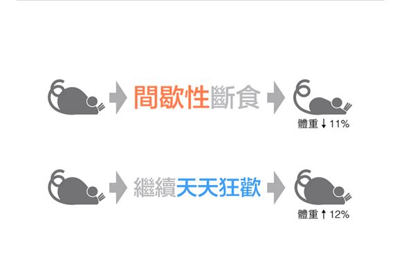 以前的減肥都做錯了?研究表明多量少餐更能瘦