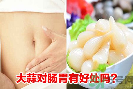 大蒜對(duì)腸胃有好處嗎?大蒜吃多了對(duì)腸胃好嗎?