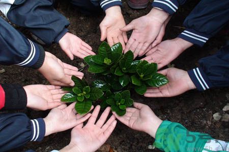 植樹(shù)節(jié)是什么時(shí)候?植樹(shù)節(jié)為什么定在這一天?