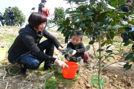 植樹(shù)節(jié)是什么時(shí)候?植樹(shù)節(jié)為什么定在這一天?