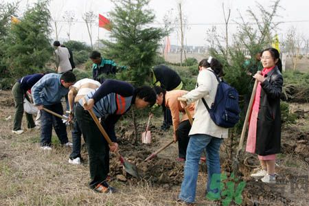 植樹節(jié)是幾月幾日？植樹節(jié)可以做些什么活動？