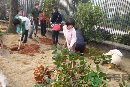 植樹(shù)節(jié)種什么樹(shù)?植樹(shù)節(jié)和孩子一起種什么樹(shù)好?