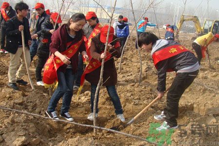 植樹(shù)節(jié)種什么樹(shù)?植樹(shù)節(jié)和孩子一起種什么樹(shù)好?