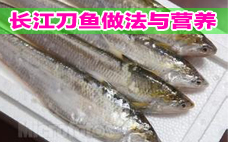 秋刀魚是刀魚嗎？秋刀魚和刀魚的區(qū)別