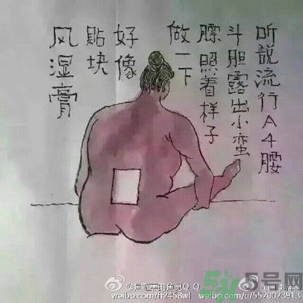 a4腰也叫水桶腰是什么意思？a4腰也叫水桶腰圖片？ 