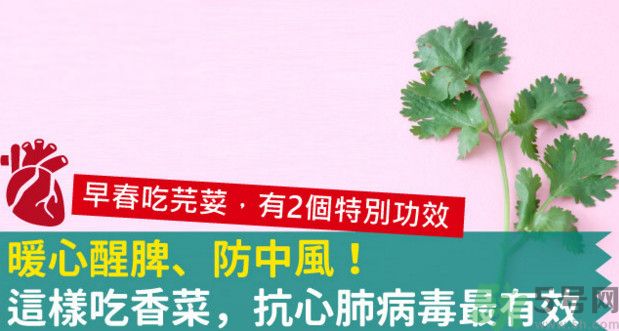 春天吃香菜好嗎？春天吃香菜有什么好處？