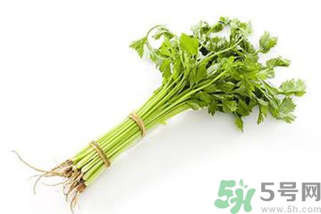 芹菜可以減肥嗎？芹菜有什么功效？