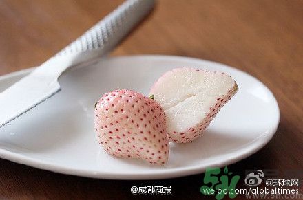 菠蘿莓好吃嗎？菠蘿莓好不好吃？