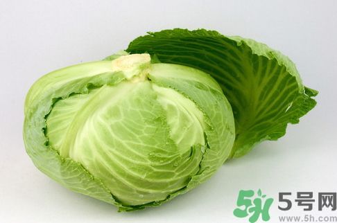 包菜是發(fā)物嗎?包菜是不是發(fā)物?