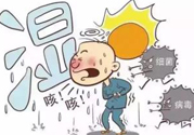 夏季濕氣重怎么辦？夏季祛濕的方法