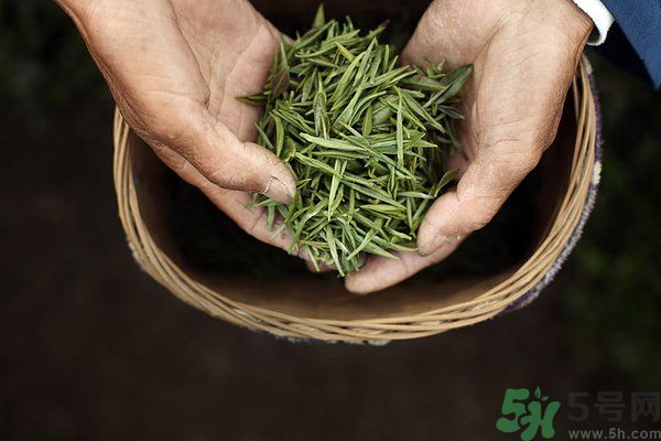 吃魚的時(shí)候能喝茶嗎？吃魚可以喝茶嗎？