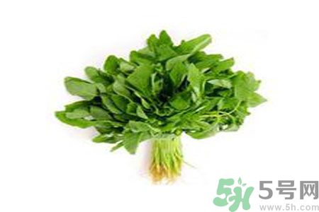 莧菜可以生吃嗎？莧菜生吃了會怎樣？