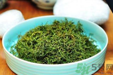 苦菜茶可以和綠茶一起喝嗎？苦菜茶可以和其他茶一起喝嗎？