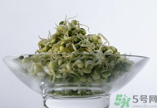 夏天吃綠豆芽可以清火嗎？夏天吃綠豆芽能降火嗎？