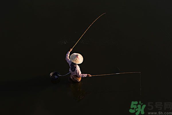 雷陣雨可以釣魚嗎？雷陣雨天氣適合釣魚嗎？