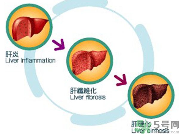 在外面吃飯會得乙肝嗎？在食堂吃飯會得乙肝嗎？