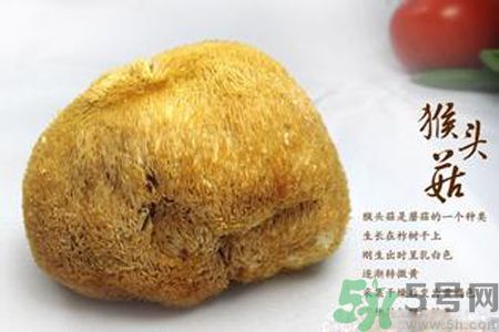 猴頭菇是發(fā)物嗎？猴頭菇是不是發(fā)物？