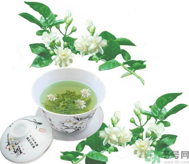 茉莉花茶是熱性還是涼性？茉莉花茶是涼性嗎？