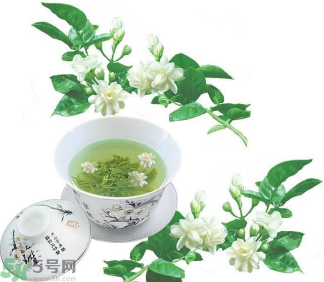 茉莉花茶可以減肥嗎？怎樣喝茉莉花茶可以減肥？