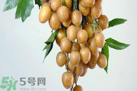 黃皮果是不是發(fā)物？黃皮果是發(fā)物嗎？