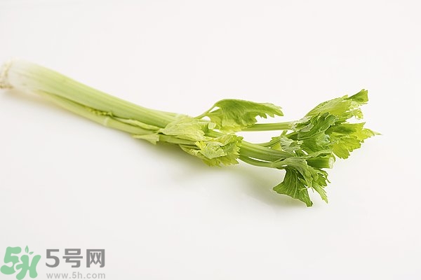 芹菜對(duì)精子有害嗎？芹菜對(duì)精子質(zhì)量有什么影響？