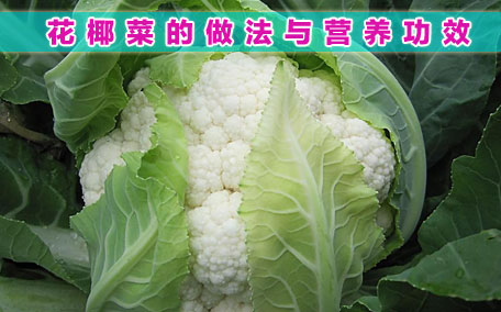 花椰菜會(huì)回奶嗎 菜花是回奶的食物嗎