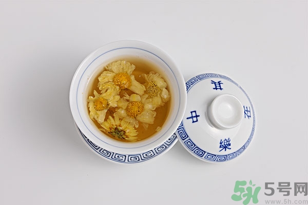 菊花茶與什么一起泡好？菊花和苦丁可以一起泡茶嗎？