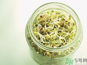 吃豆芽會(huì)胖嗎？豆芽會(huì)不會(huì)讓人長胖？