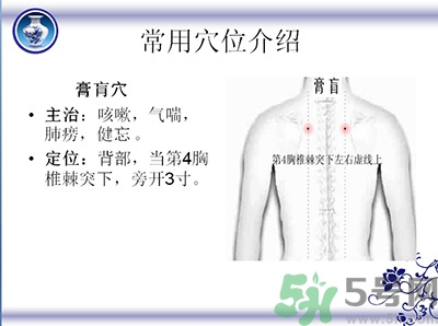 三伏貼可以貼肚臍嗎？三伏貼可以貼肚臍眼嗎？