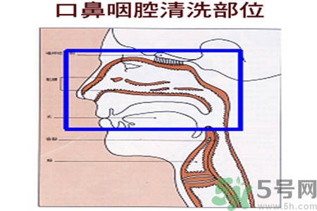 鼻炎能用生理鹽水清理鼻腔嗎？鼻炎能不能用生理鹽水清理鼻腔？