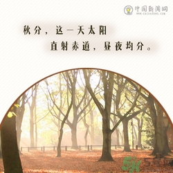 立秋是秋分嗎？立秋和秋分的區(qū)別？