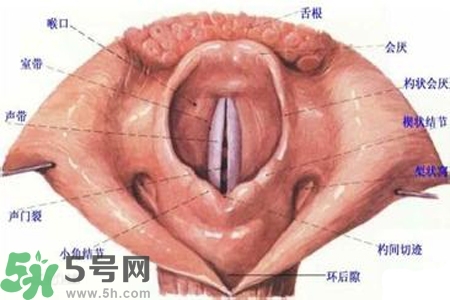 慢性咽炎的發(fā)病因素？慢性咽炎的并發(fā)癥有哪些？