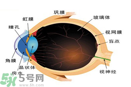 近視眼高發(fā)人群？如何預(yù)防近視眼？