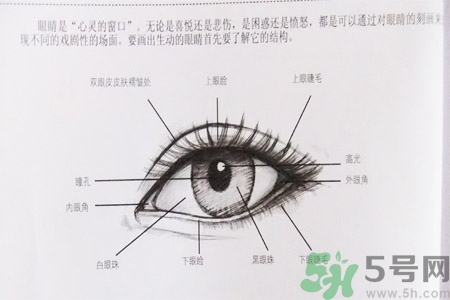 白內(nèi)障的發(fā)病因素是什么？白內(nèi)障并發(fā)癥有哪些？