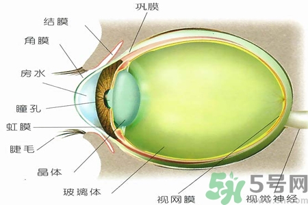 青光眼的治療方法有哪些？青光眼可以哪些藥物治療？