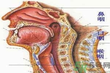 鼻咽癌的治療方法是什么？鼻咽癌可以用什么藥物治療？