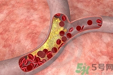 膽固醇對人體有傷害嗎？膽固醇是什么？