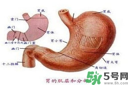 急性腸胃炎哪些食物不可以吃？急性腸胃炎不能吃的水果有？