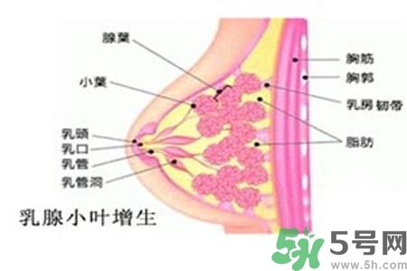 乳房上有硬塊怎么辦？乳房有硬塊的病因是什么？