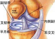 前十字韌帶斷裂可以參加比賽嗎？前十字韌帶斷裂怎么治療？