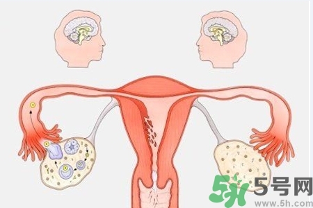 陰道出血癥狀有哪些？陰道出血需注意什么問題？