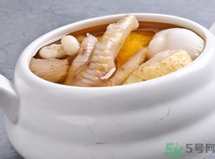 海底椰的功效作用 海底椰的營(yíng)養(yǎng)價(jià)值和食用禁忌