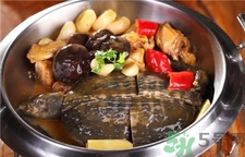 甲魚(yú)的營(yíng)養(yǎng)價(jià)值 甲魚(yú)的功效與作用