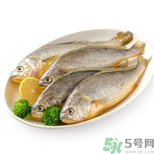 小黃魚的營(yíng)養(yǎng)價(jià)值 小黃魚的功效與作用