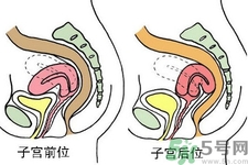 ?子宮移位怎么治療？子宮移位能懷孕嗎？