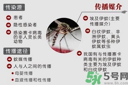 寨卡病毒會死人嗎？寨卡病毒會死嗎？