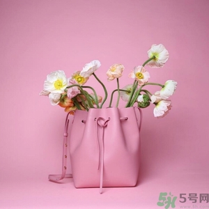 Mansur Gavriel真假辨別圖對(duì)比